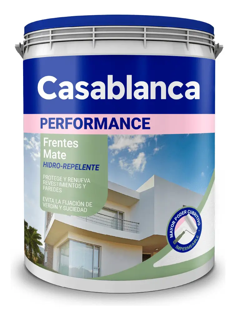 LATEX PERFORMANCE FRENTES CASABLANCA